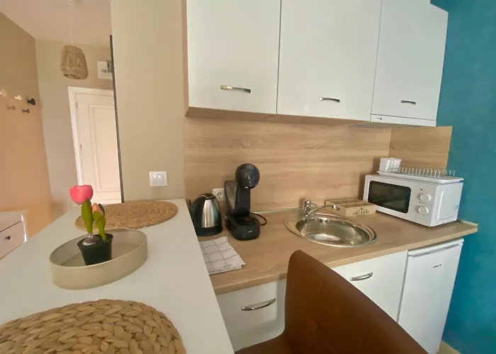 Apartament и студия в комплекс Flores Garden